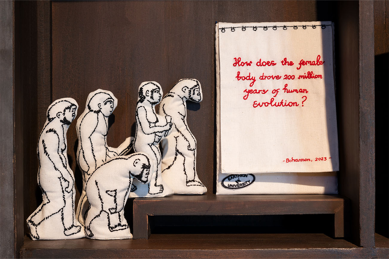 Salima Hakim Her Cabinet of Curiosities