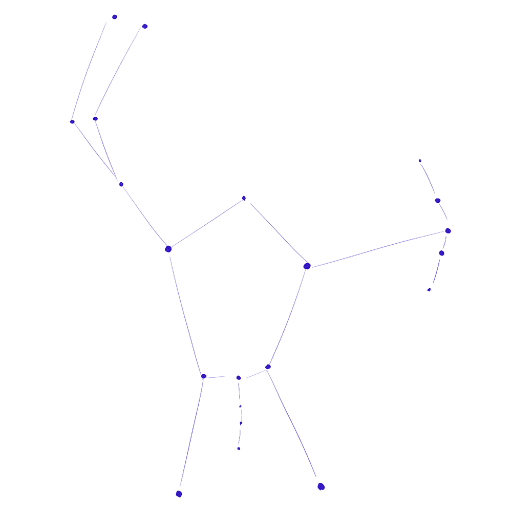 constellation orion