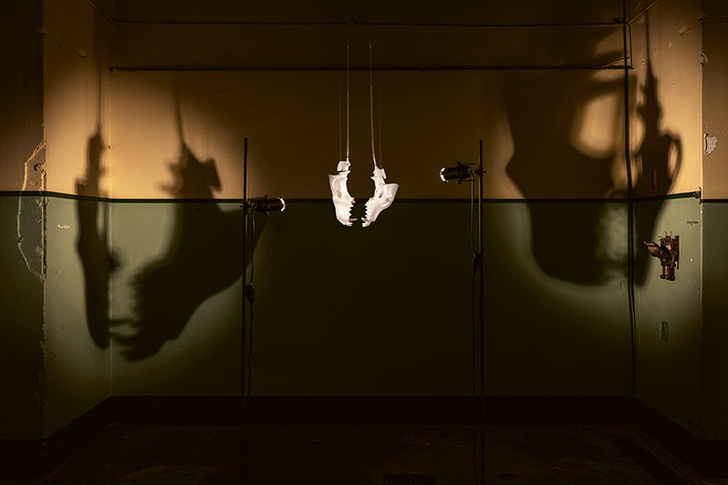 Cannupa Hanska Luger